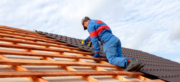 Best Flat Roofing  in Franklin Park, IL