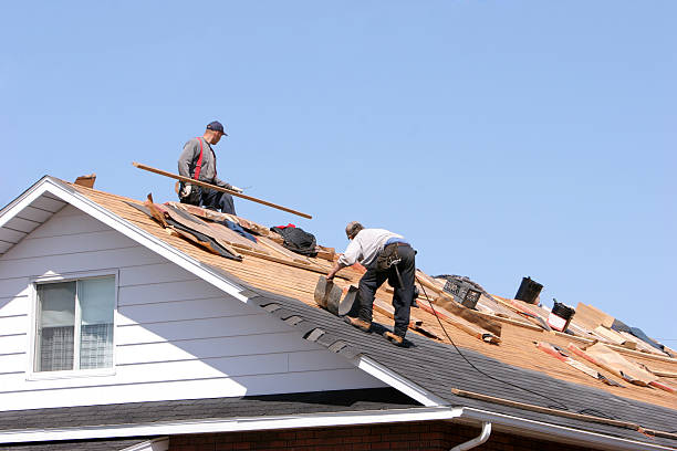 Best Storm Damage Roof Repair  in Franklin Park, IL