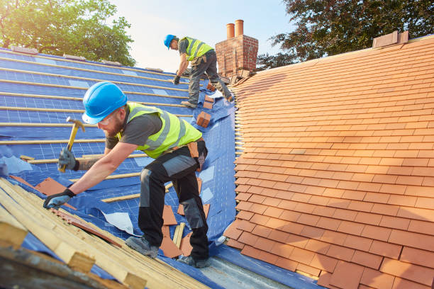 Best Metal Roofing Installation  in Franklin Park, IL